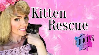 Disney Princess Adventure  Kitten Rescue [upl. by Palladin]