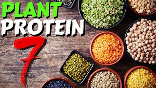 Top 7 Sources of Plant Protein [upl. by Scottie107]