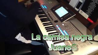 La camisa negra  Juanes  tyros 4  Cover Turtle [upl. by Nikki]