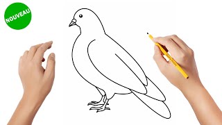 Comment dessiner une colombe  How to draw a dove [upl. by Dracir]