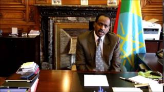 Interview of Teshome Toga Ethiopian Ambassador in Brussels [upl. by Annmaria459]