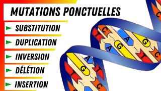 5 Types de mutations ponctuelles Explication détaillée [upl. by Cheria]