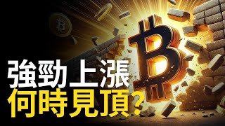 比特幣強勢上漲，BTC何時見頂 時間點可能是 【建議15X倍速觀看】 [upl. by Druci907]