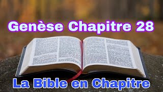 Genese Chapitre 28 [upl. by Ulund412]