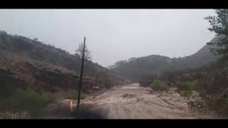 Flooding Parachilna Gorge Road [upl. by Leunamnauj]