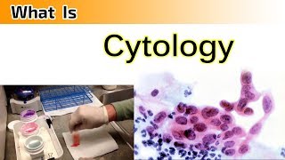 What is Cytology   Clear amp Complete Overview [upl. by Iseabal]