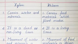 Difference between Xylem and Phloem [upl. by Rosie]