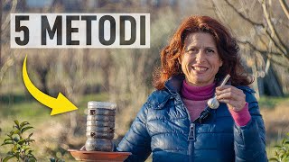 PIANTARE LAGLIO 5 metodi creativi per coltivarlo 🧄🧄 [upl. by Etteoj]