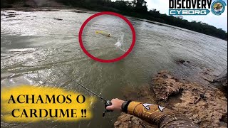 EU CHEGUEI PERTO DE FICAR MALUC0  PESCARIA DE DOURADO NO RIO PARACATU pescaria pesca [upl. by Lienhard]