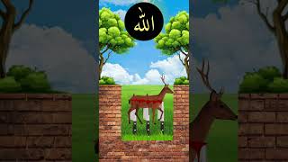 new islamic vfx video❤️💫 youtube youtubeshorts islamicvfx shorts viralvideo shortsfeed [upl. by Prissy]