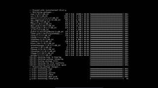 Arch Linux  19 network configuration [upl. by Einahpit]