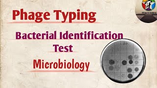 Phage Typing ll Bacterial identification test ll Microbiology [upl. by Ysdnil47]