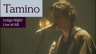 Tamino  Indigo Night Live at AB  Ancienne Belgique [upl. by Simeon]