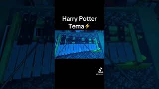 Harry Potter song cover Glockenspiel Meralofono [upl. by Akinirt]