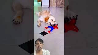 Aaj mera ghar sopari aayi hai😃 funnydog vairlshorts shorts [upl. by Naryt]