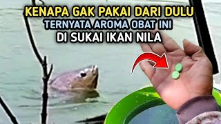 UMPAN IKAN NILA INI TERNYATA AMPUHCampuran Lumut [upl. by Itsa]