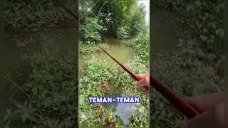 Mancing ikan Baru lempar umpan langsung di sambar ikan besar bikin kaget shorts mancingikan [upl. by Scharf61]