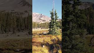 Panther Meadows Mount Shasta [upl. by Elexa]