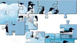 Penguin Puzzle [upl. by Lohner]