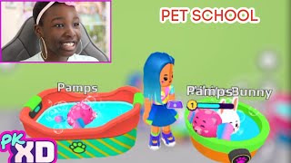 I OPENED A NEW PET SCHOOL IN PK XD  A PK XD ROLEPLAY [upl. by Evadnee]