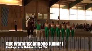 Oberbayerische Meisterschaften 2014  Gut Waffenschmiede Junior I [upl. by Ruthie]