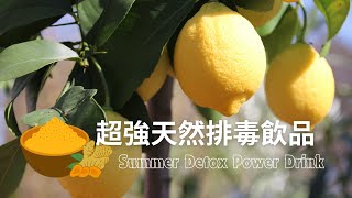 Turmeric Lemon Honey Drink 蜂蜜檸檬薑黃  天然排毒飲品 幫助消化 清理體內毒素 促進新陳代謝 Refreshing Summer Detox amp Health Boost [upl. by Kcirddor]