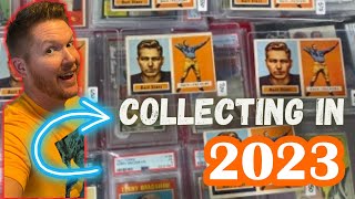 How to Start a Sports Card Collection in 2023 [upl. by Nnayram157]