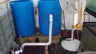 Tilapia  Filter System Details [upl. by Ayimat495]