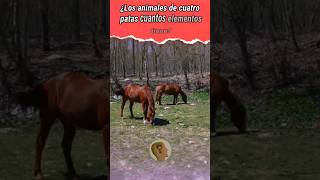 CUÁNTO SABE DE TU CUERPO parati quiz shortvideos viralvideos energia [upl. by Petra]