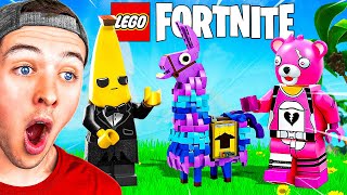 Playing LEGO FORTNITE For The FIRST TIME [upl. by Dniren]