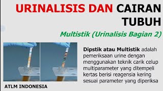 Urine Multistik Carik Celup  Dipstik  10 Test  Combur URS Uritest  Multistix 10SG  Kimia stik [upl. by Oicam]