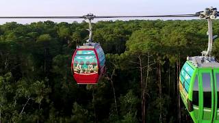 Disney Skyliner Takes Flight on Sept 29 2019 [upl. by Mourant]