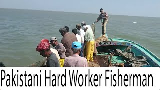 Hard Working Fishermans  Fishing Catching In Open Sea  How to Catch Fish  Fishing Series Part2 [upl. by Akemhs]