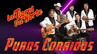 Los Tigres Del Norte 🔥 Puros Corridos Mix 🔥 Puros Corridos Pesados Mix 30 Mejores Viejitas amp Bonitas [upl. by Orferd391]