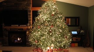 Wawra Christmas Tree Lights 2016Mariah CareyAll I Want For Christmas Is You wawrachristmascom [upl. by Naimaj708]