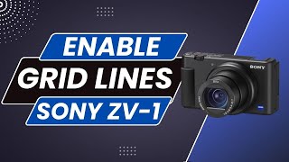 Sony ZV 1  How to Enable Grid Lines [upl. by Alick]