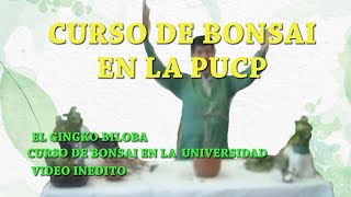 Curso de bonsai en la universidad PUCP [upl. by Balsam]