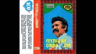 Feyzullah Çınar Kızılırmak Bizim Irmak [upl. by Kelli]