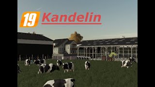 Ls19 Kandelin 20 Kühe sind da und müssen Versorgt werden 143 Farming Simulator 2019 [upl. by Stahl]