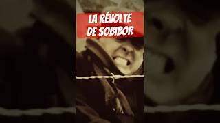 Le soulèvement de Sobibor ww2 [upl. by Elohcim]