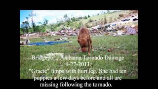 Bridgeport Alabama Tornado Destruction 4272011 by Dennis Lambert [upl. by Gladwin]