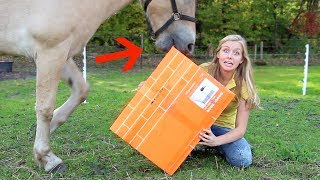 Mijn paard VERSTOORT de Epplejeck UNBOXING  WINACTIE [upl. by Phillip85]