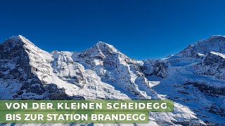 Grindelwald  Von der Kleinen Scheidegg bis Brandegg  Blaue Piste 22 [upl. by Ekram]