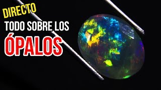 💎 Las Piedras Preciosas Mas Caras del Mundo 💎 Será el ​Jade Imperial [upl. by Nnael]