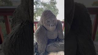 Harambe Memorial Sand Sculpture [upl. by Drawe]