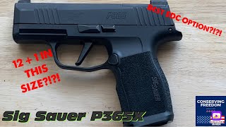 GUN REVIEW Sig Sauer P365x [upl. by Alekat706]