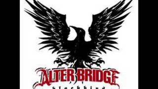 Alter Bridge Rise Today [upl. by Hayidan]