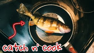 UPSTATE NY ICE FISHING PERCH CATCH N COOK [upl. by Ullman]