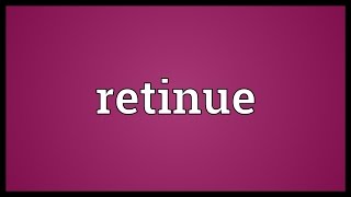 Retinue Meaning [upl. by Atikahs]