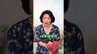 父母催婚？金星 ：婚姻是社会的需求，不是人性的需求！ talkshow 脱口秀 金星看世界2024 [upl. by Diana]